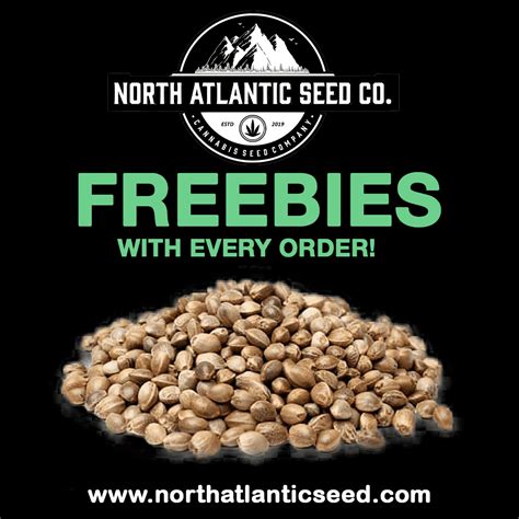 North Atlantic Seed Company - Quality genetics, breeders & strains ... 0 Items